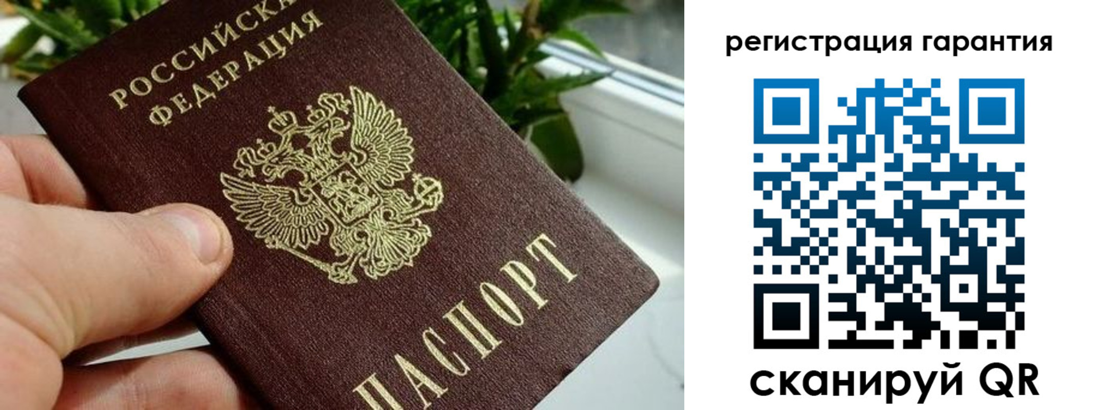 временная регистрация надежно в Ивантеевке